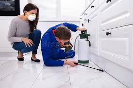 Best Pest Prevention Services  in Zephyrhills North, FL